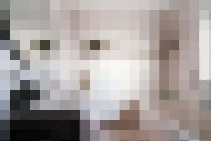 Dreef 8 Didam thumbnail 38