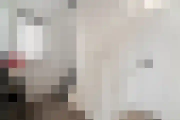 Dreef 8 Didam thumbnail 40