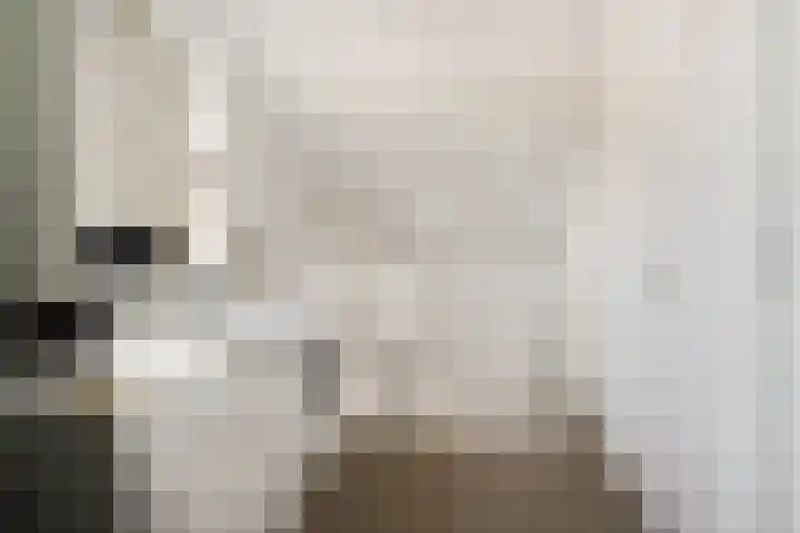 Dreef 8 Didam thumbnail 41
