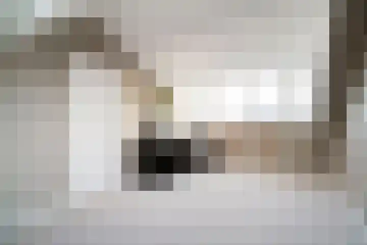 Dreef 8 Didam thumbnail 43