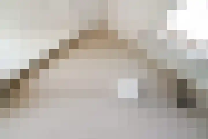 Dreef 8 Didam thumbnail 45