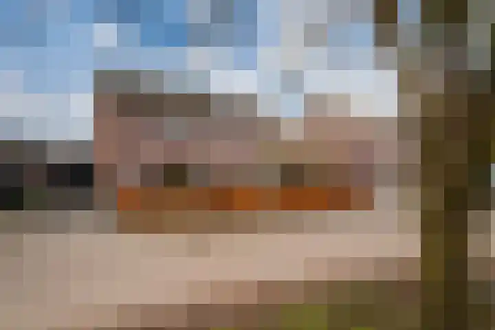 Dreef 8 Didam thumbnail 46