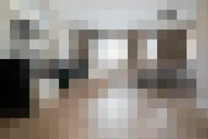 Dreef 8 Didam thumbnail 6