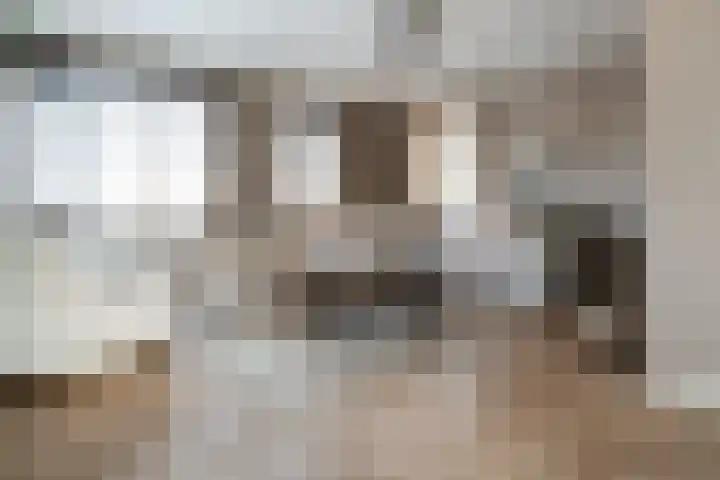 Dreef 8 Didam thumbnail 7