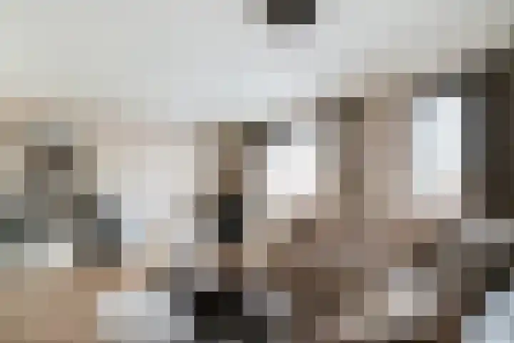 Dreef 8 Didam thumbnail 8