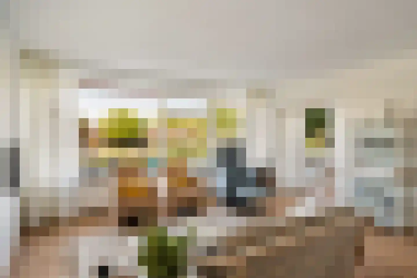 Dreef 8 Gouda thumbnail 11