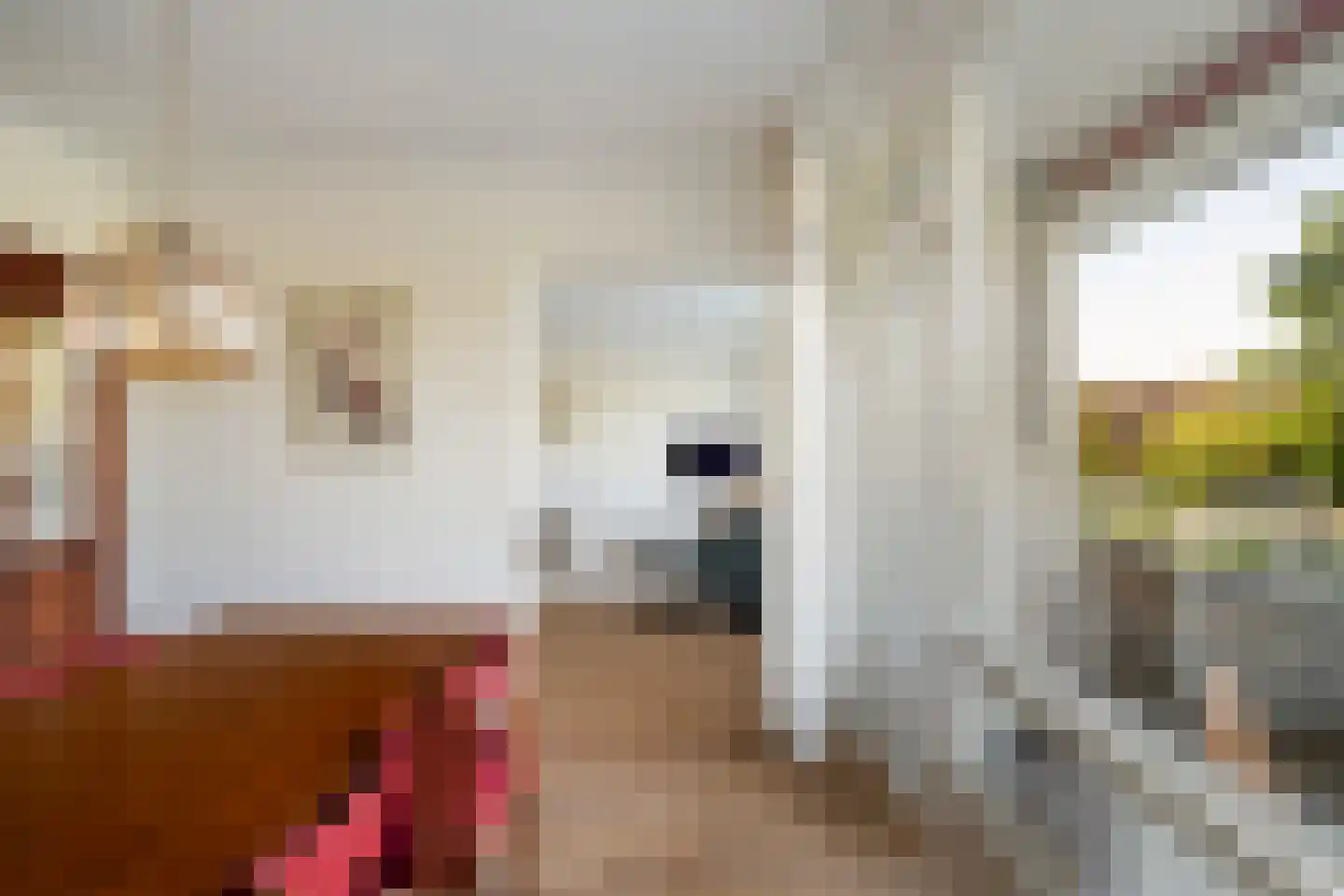 Dreef 8 Gouda thumbnail 15