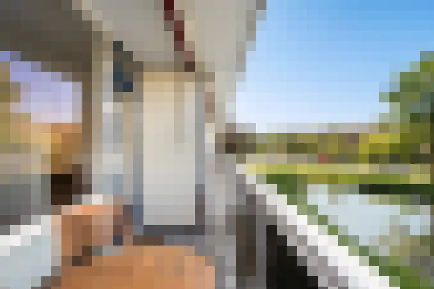 Dreef 8 Gouda thumbnail 18