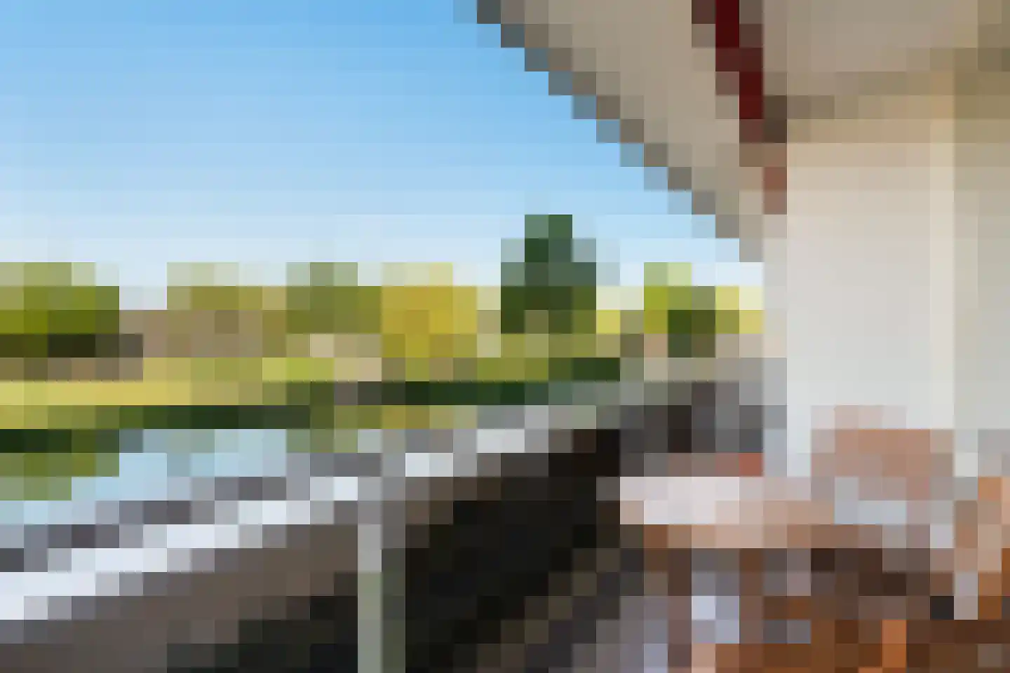 Dreef 8 Gouda thumbnail 19