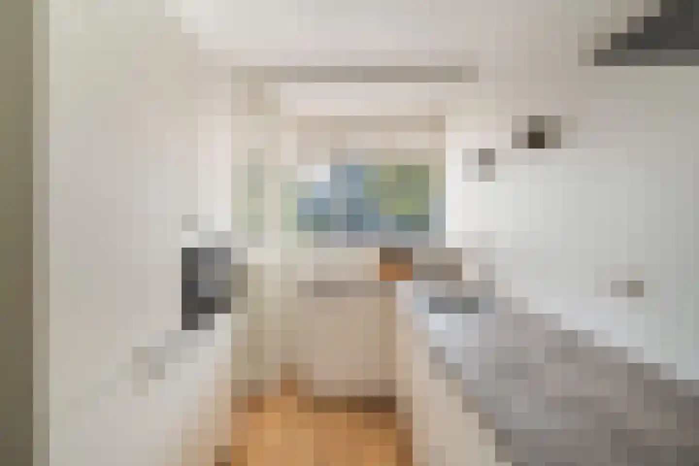 Dreef 8 Gouda thumbnail 22