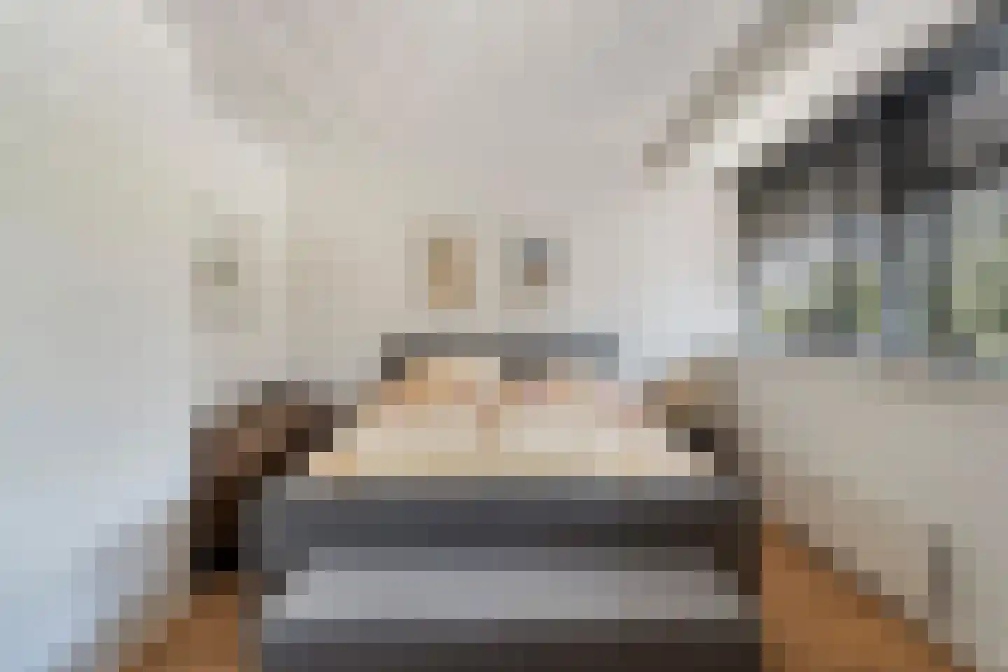 Dreef 8 Gouda thumbnail 29