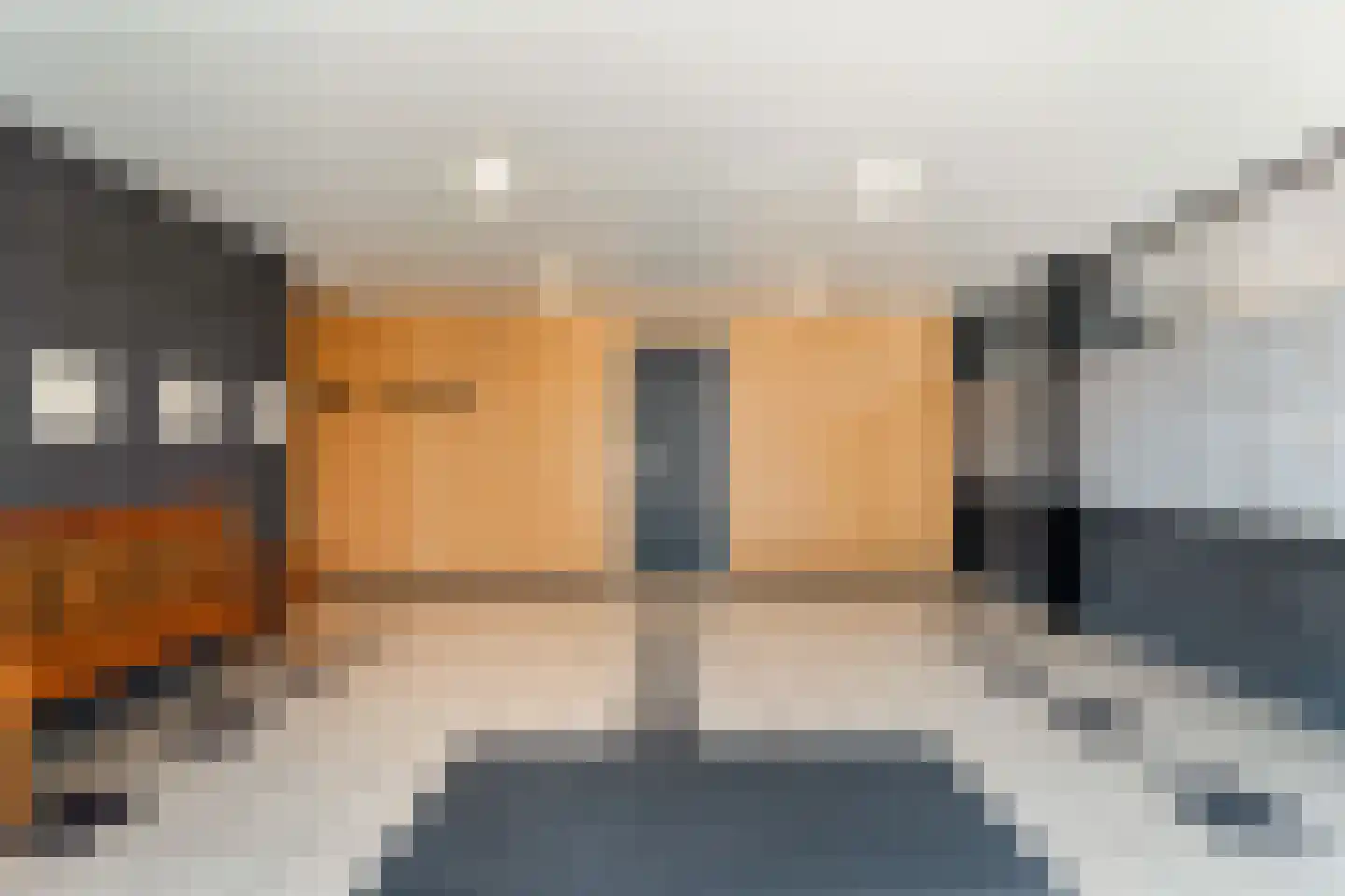 Dreef 8 Gouda thumbnail 7