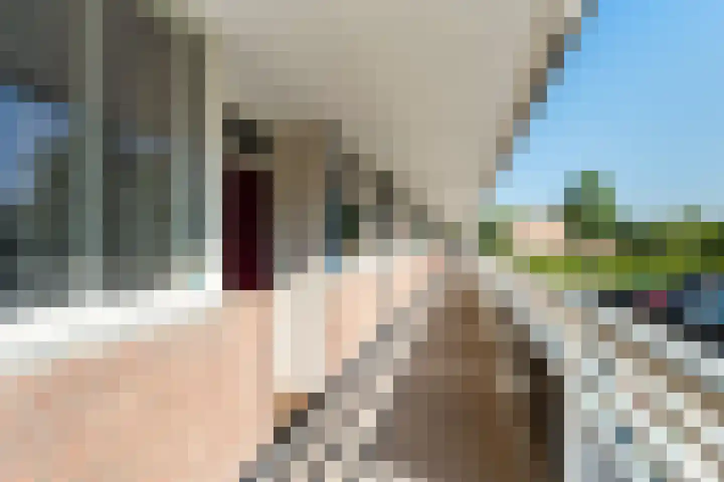 Dreef 8 Gouda thumbnail 8