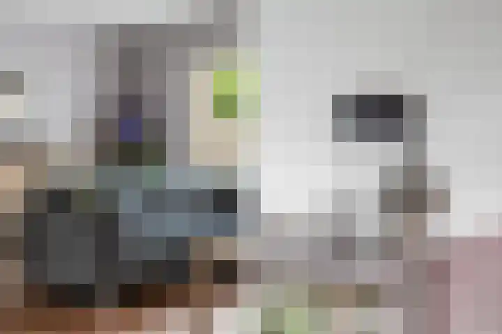 Dreef 8 Hellevoetsluis thumbnail 11