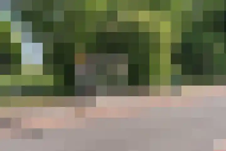 Dreef 8 Hellevoetsluis thumbnail 31