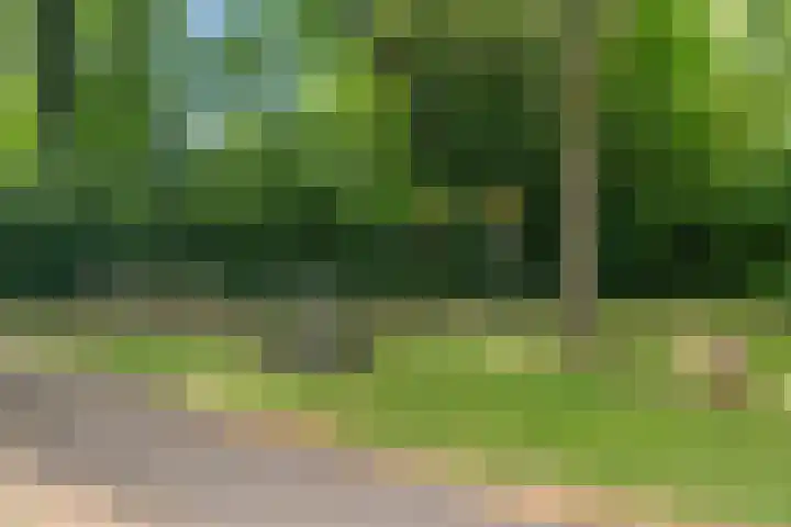 Dreef 8 Hellevoetsluis thumbnail 32
