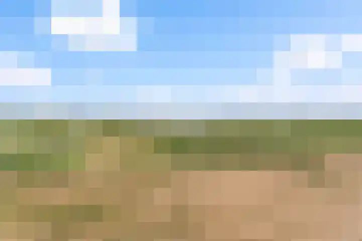 Dreef 8 Hellevoetsluis thumbnail 33