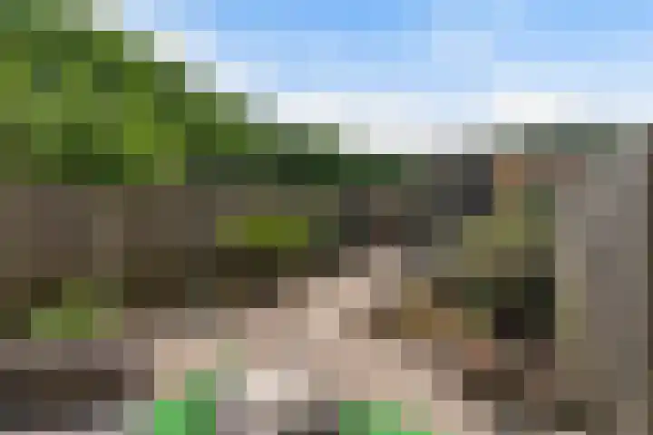 Dreef 8 Hellevoetsluis thumbnail 5