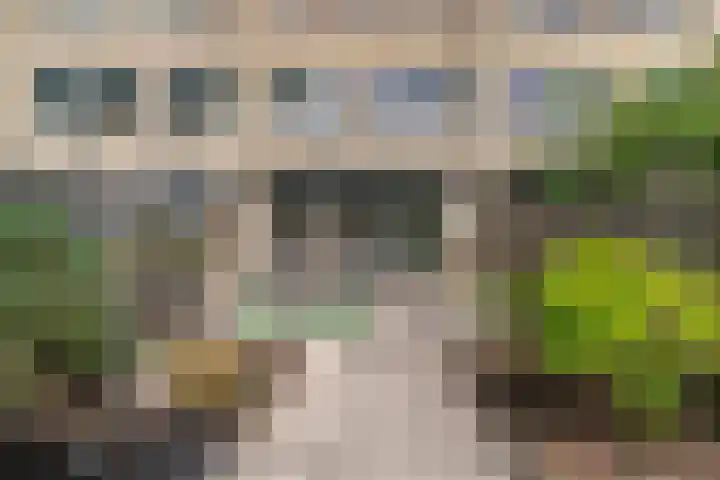 Dreef 8 Hellevoetsluis thumbnail 6