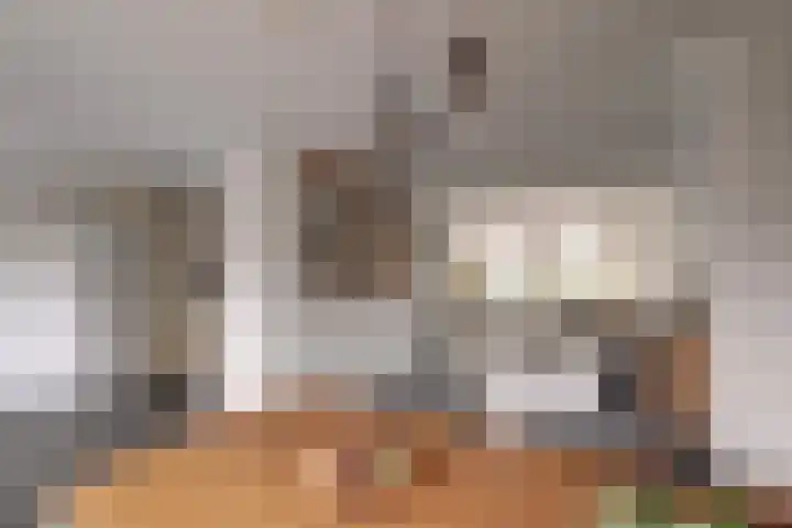 Dreef 81 Leersum thumbnail 10