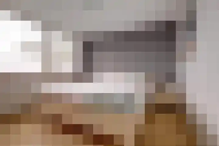 Dreef 81 Leersum thumbnail 20