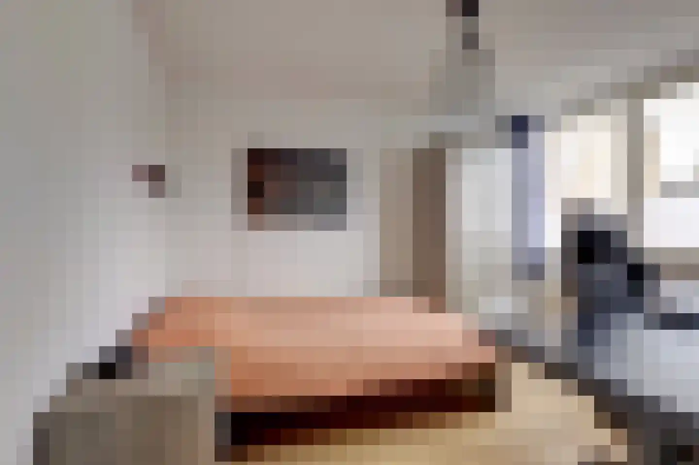 Dreef 81 Leersum thumbnail 22