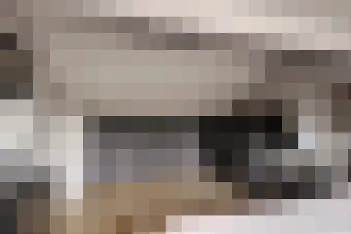 Dreef 81 Leersum thumbnail 33