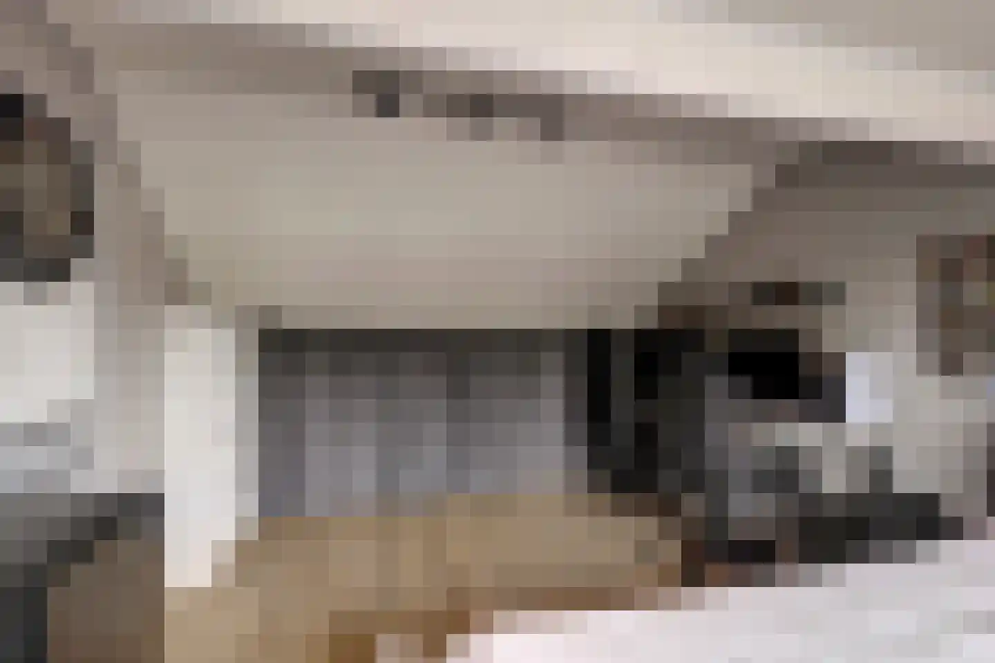 Dreef 81 Leersum thumbnail 33