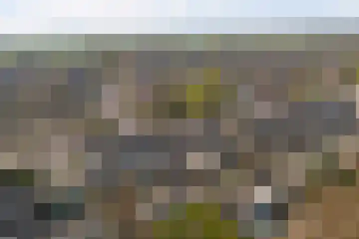 Dreef 81 Leersum thumbnail 51