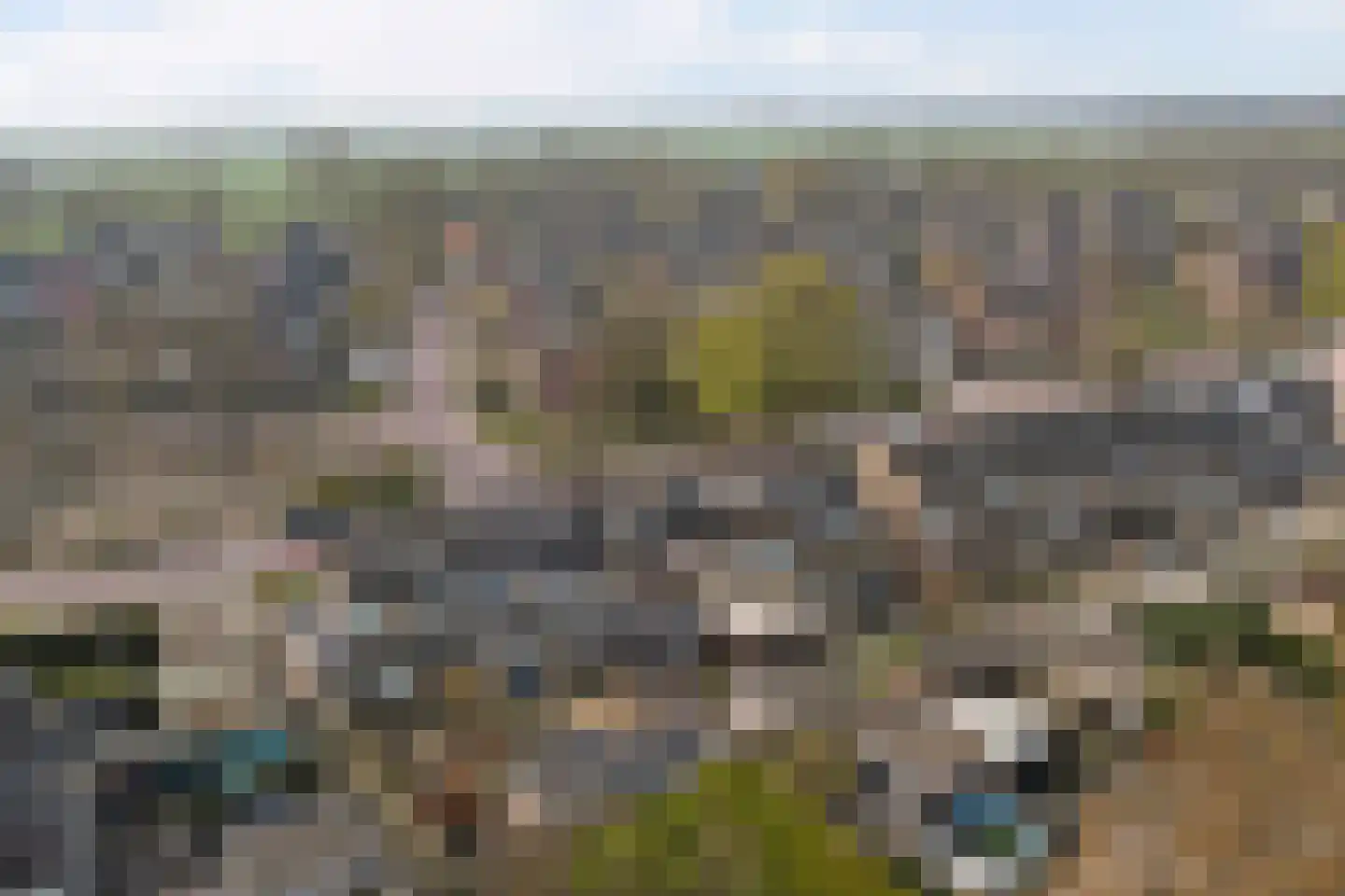 Dreef 81 Leersum thumbnail 51