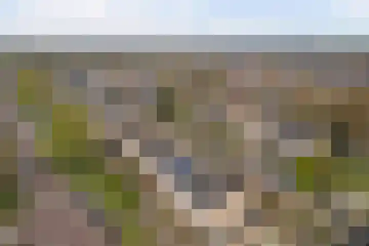 Dreef 81 Leersum thumbnail 52