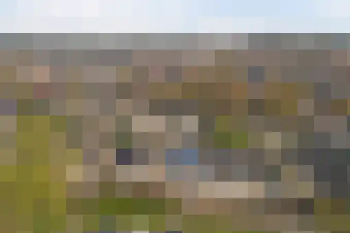 Dreef 81 Leersum thumbnail 53