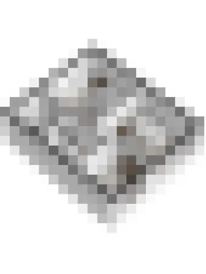 Dreef 81 Leersum thumbnail 58