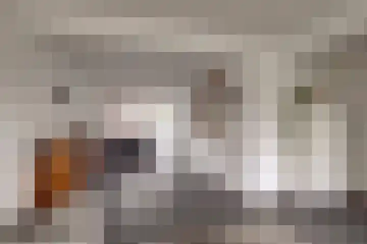 Dreef 81 Leersum thumbnail 6