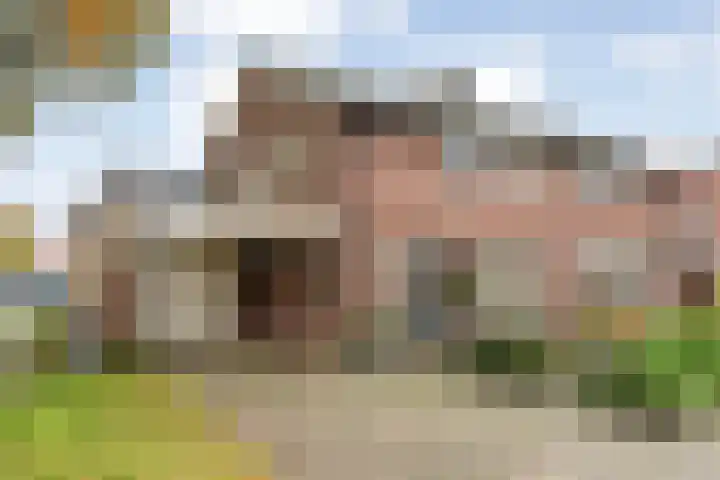 Dreef 86 en Vroomshoop