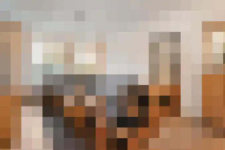 Dreef 86 Vroomshoop thumbnail 11