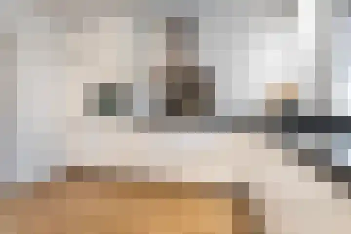 Dreef 86 Vroomshoop thumbnail 18