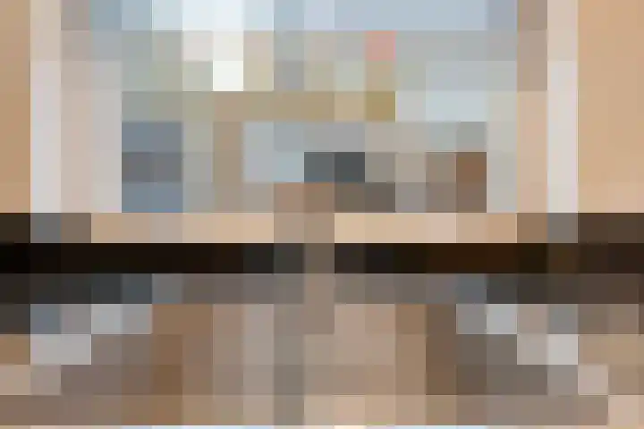 Dreef 86 Vroomshoop thumbnail 19