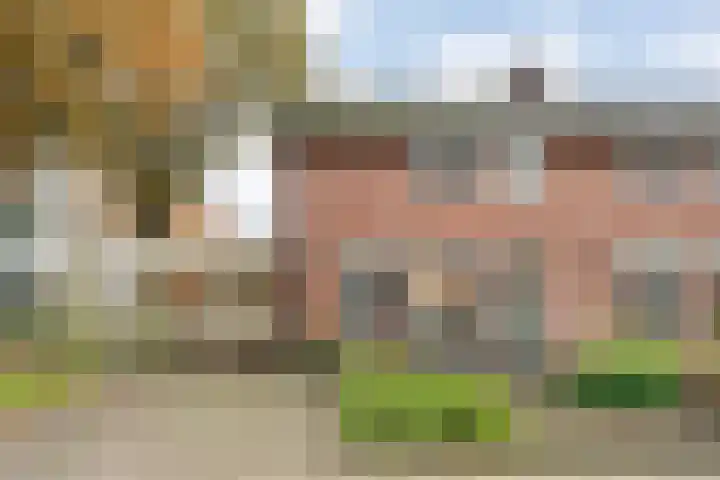 Dreef 86 Vroomshoop foto 2