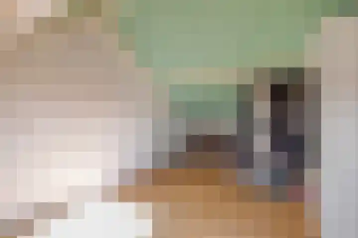 Dreef 86 Vroomshoop thumbnail 22