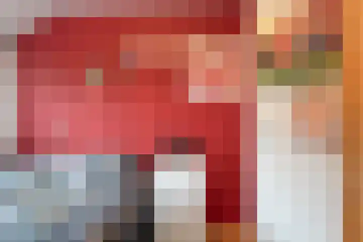 Dreef 86 Vroomshoop thumbnail 27