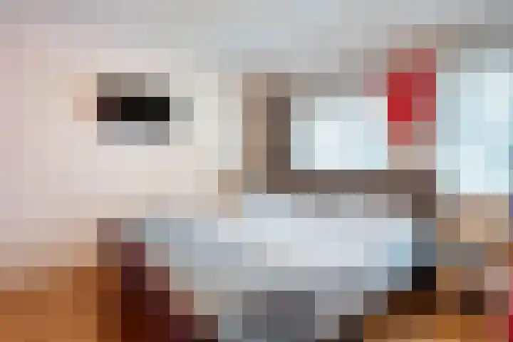 Dreef 86 Vroomshoop thumbnail 28