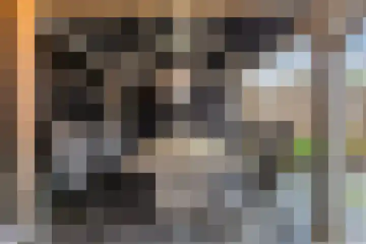 Dreef 86 Vroomshoop thumbnail 40