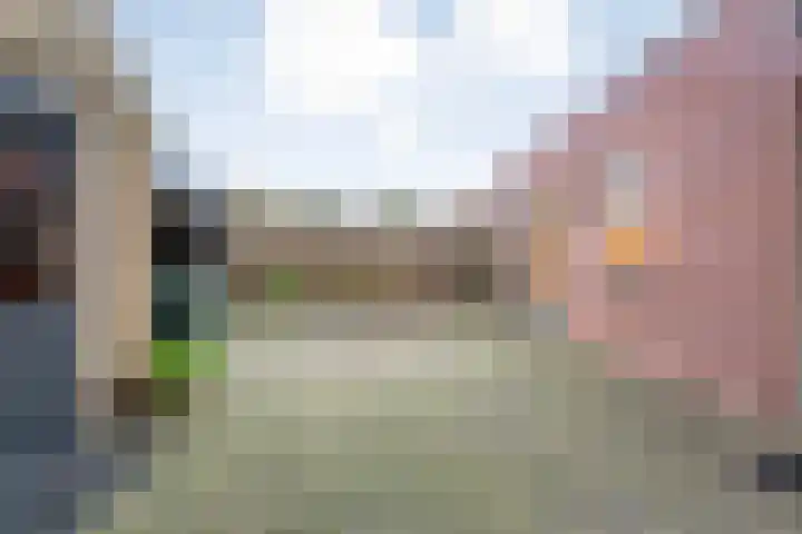 Dreef 86 Vroomshoop thumbnail 43
