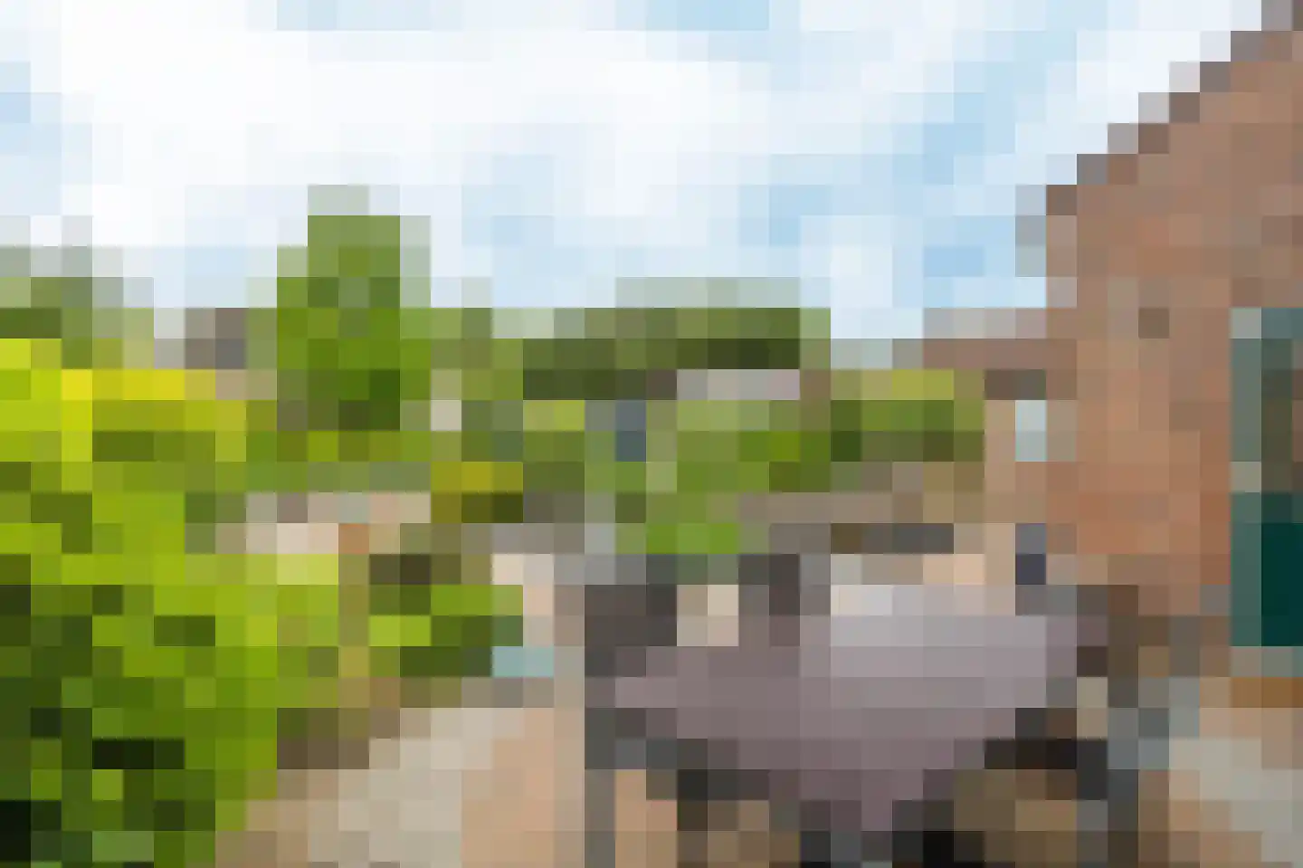 Dreef 9 Hardinxveld-Giessendam thumbnail 10
