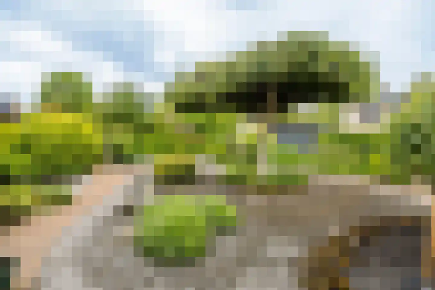 Dreef 9 Hardinxveld-Giessendam thumbnail 11