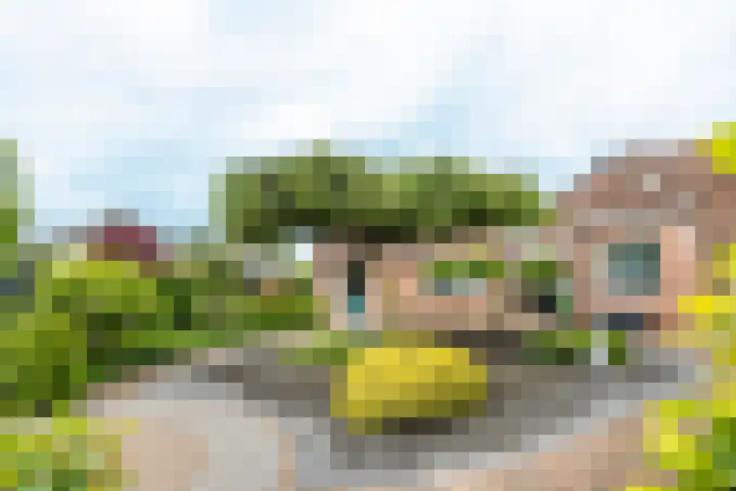 Dreef 9 Hardinxveld-Giessendam thumbnail 13