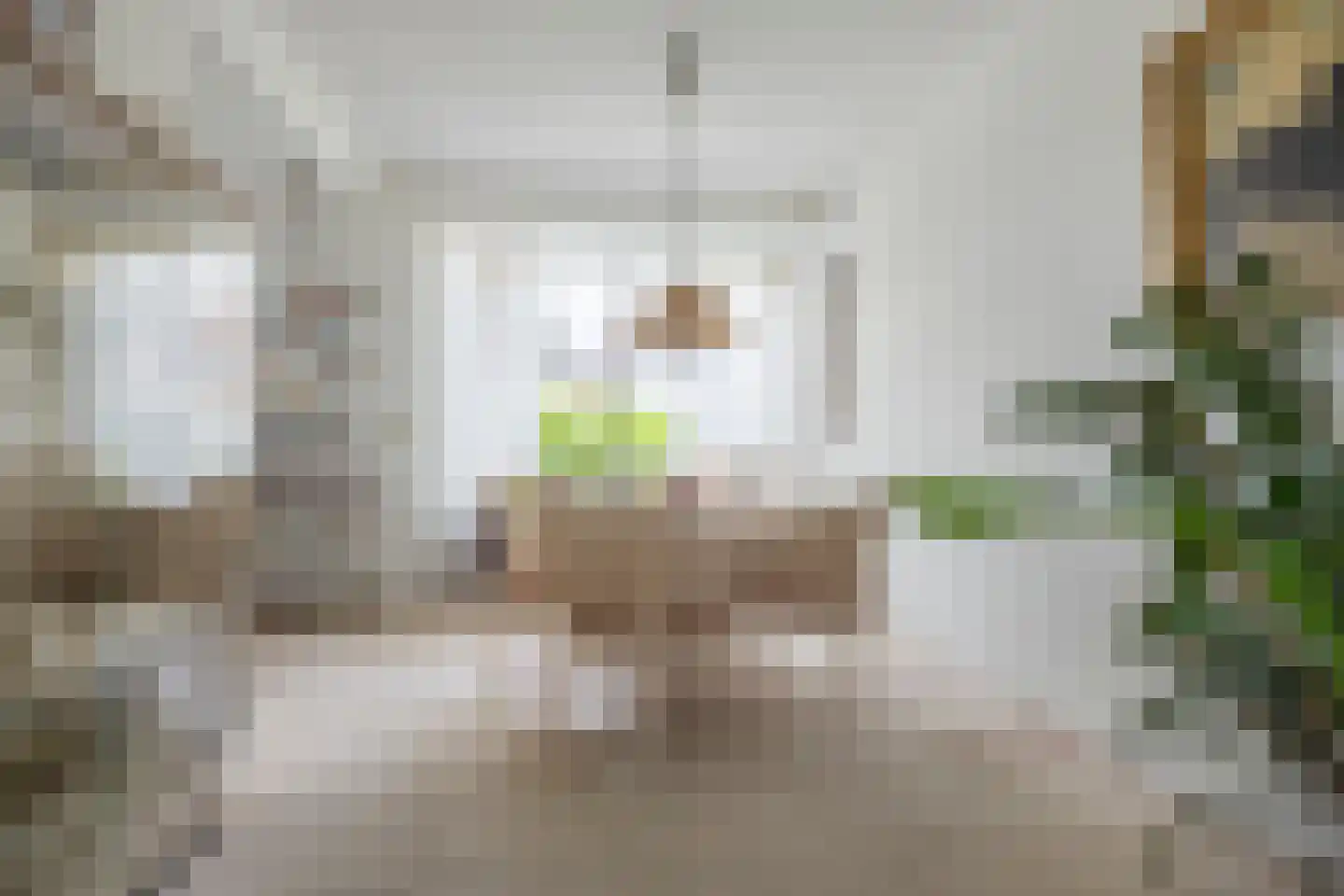 Dreef 9 Hardinxveld-Giessendam thumbnail 15