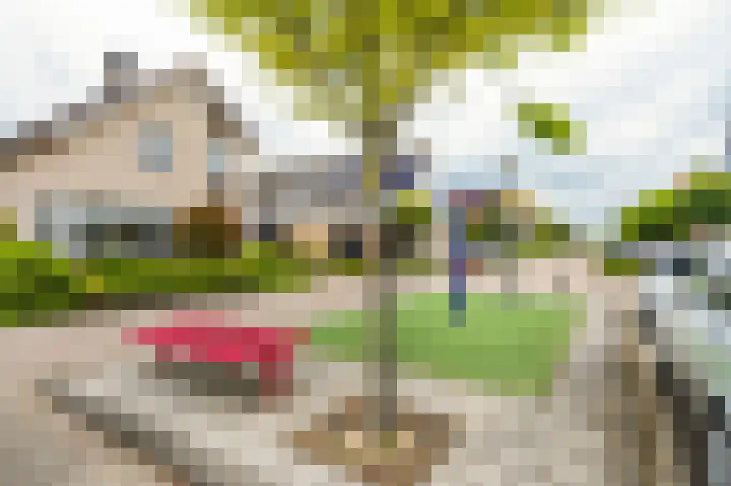 Dreef 9 Hardinxveld-Giessendam thumbnail 33