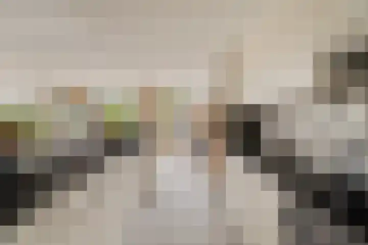 Dreefkant 34 Noordwijk thumbnail 11